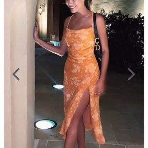 NWT! Verge Girl Parisian Bias Cut Dress, Size 6